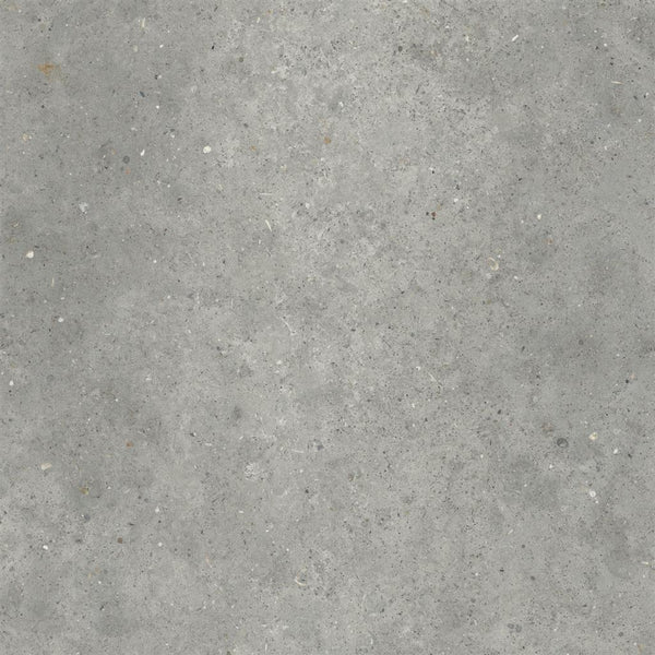 Ariana Anima Grigio 80x80 (R)