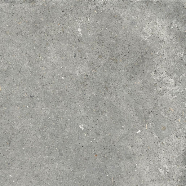 Ariana Anima Grigio 60x60 (R)