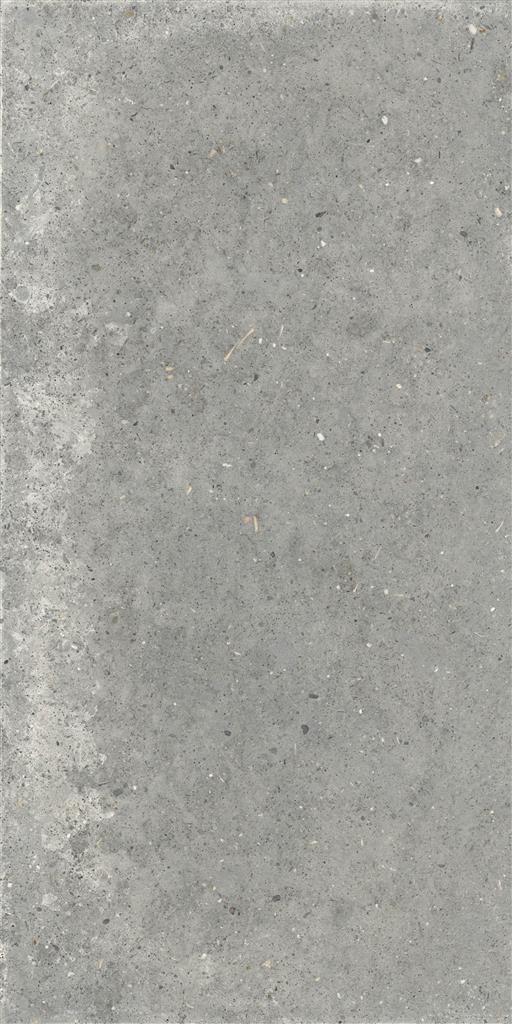 Ariana Anima Grigio 60x120 (R)