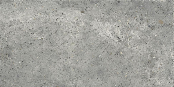 Ariana Anima Grigio 30x60 (R)