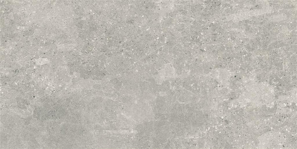 Navarti Street Silver Mate 60x120 (R)