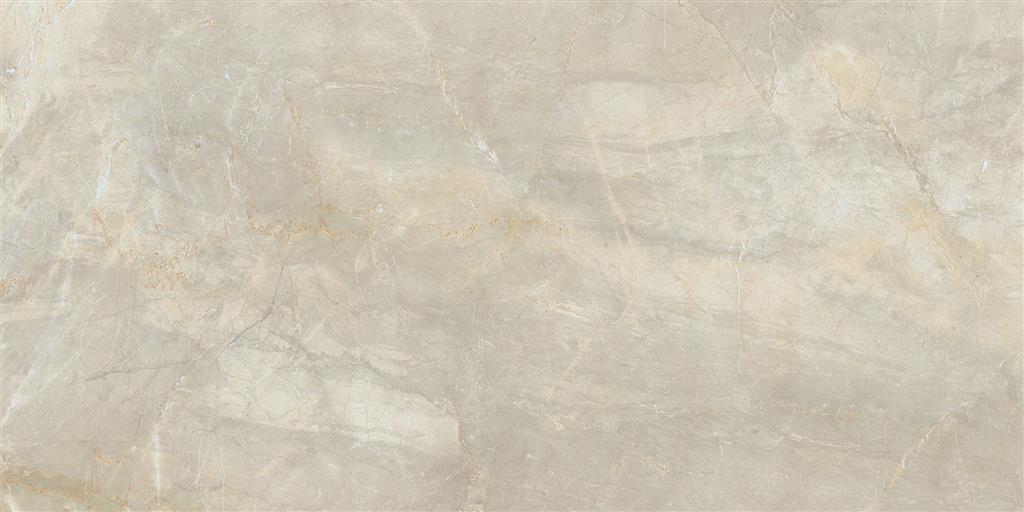 60x120