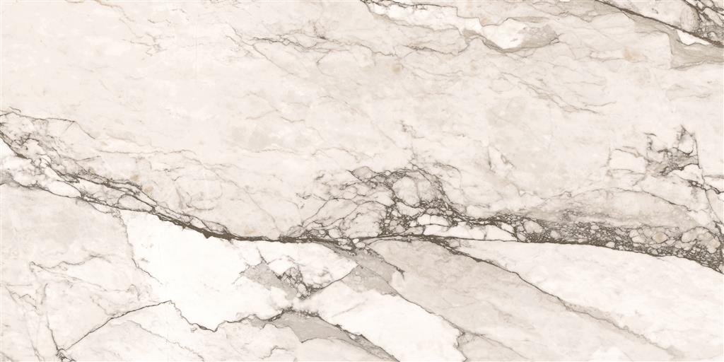 Cerdomus Omnia Camouflage Matt 30x60 (R)