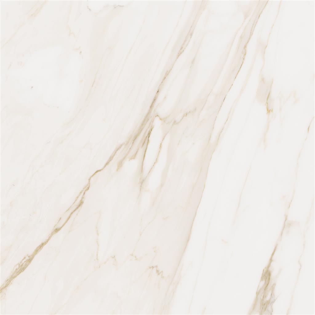 Cerdomus Omnia Calacatta Polished 60x60 (R)