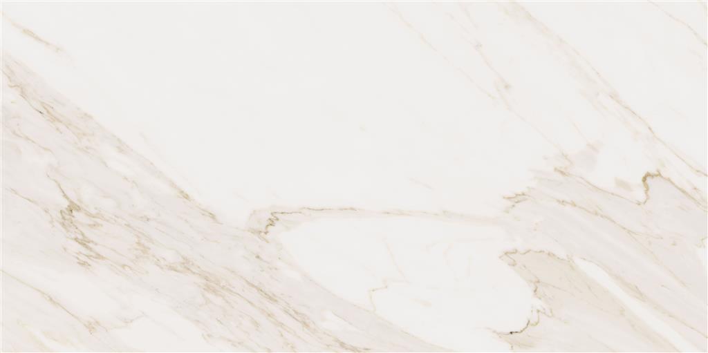 Cerdomus Omnia Calacatta Polished 60x120 (R)