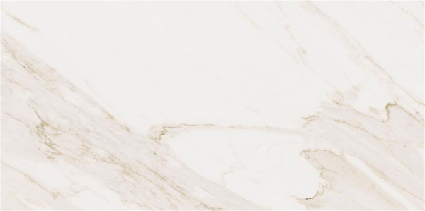Cerdomus Omnia Calacatta Polished 60x120 (R)