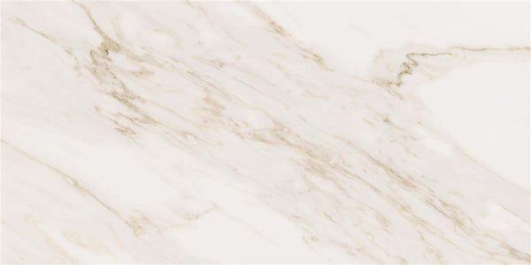 Cerdomus Omnia Calacatta Polished 30x60 (R)