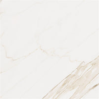 Cerdomus Omnia Calacatta Gepolijst 120x120
