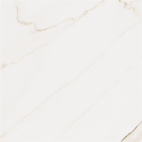 Cerdomus Omnia Calacatta Matt 60x60 (R)