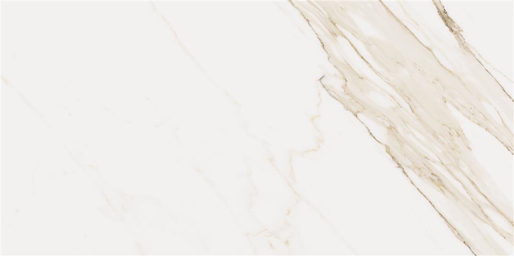 Cerdomus Omnia Calacatta Matt 60x120 (R)