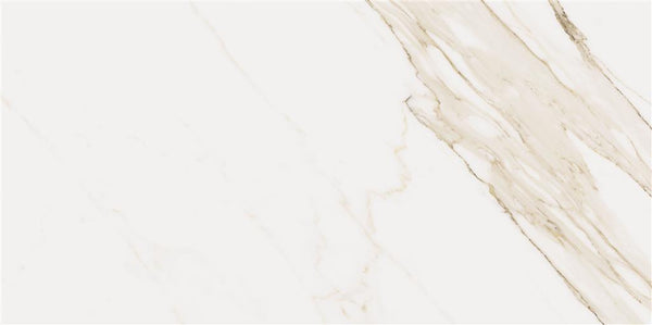 Cerdomus Omnia Calacatta Matt 60x120 (R)