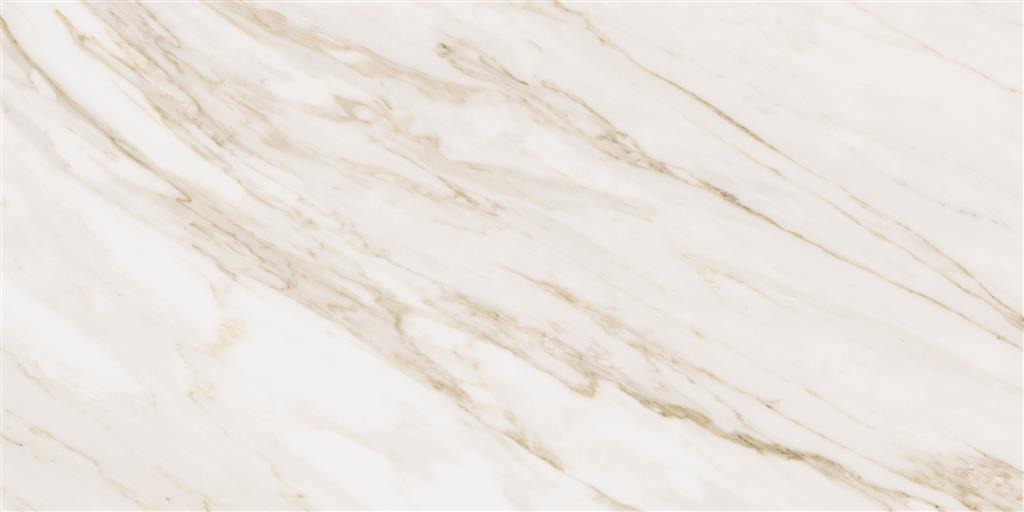 Cerdomus Omnia Calacatta Matt 30x60 (R)