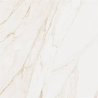 Cerdomus Omnia Calacatta Mat 120x120
