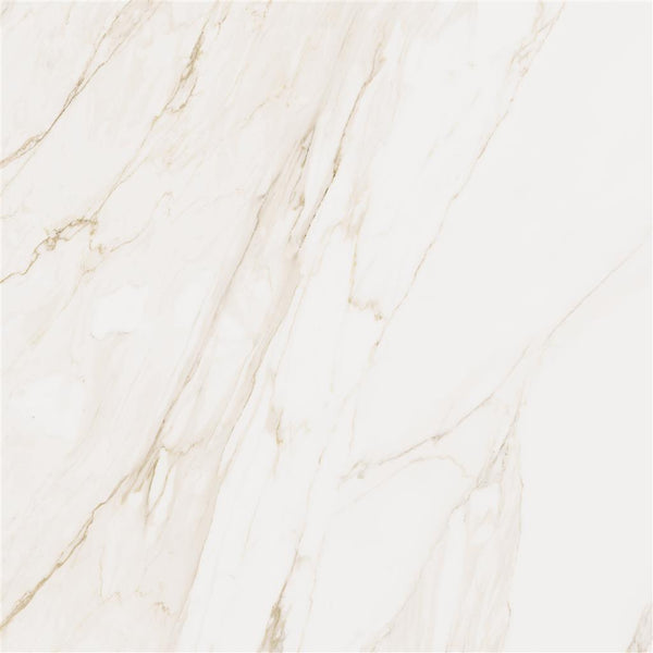 Cerdomus Omnia Calacatta Mat 120x120