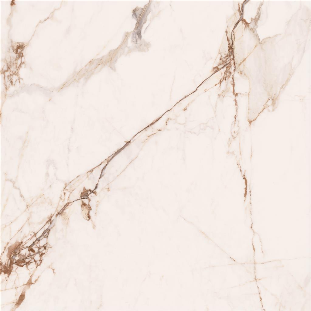 Cerdomus Omnia Machia Vecchia Polished 120x120 (R)