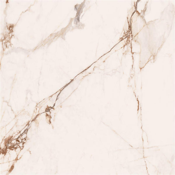 Cerdomus Omnia Machia Vecchia Polished 120x120 (R)