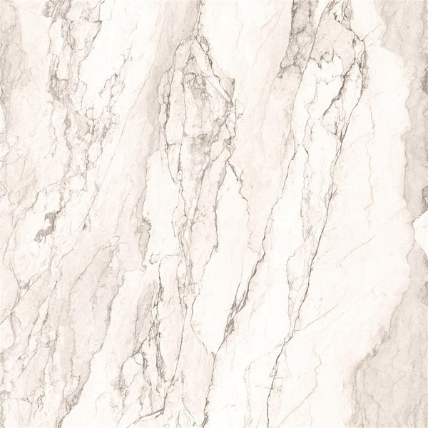 Cerdomus Omnia Camouflage Polished 120x120 (R)