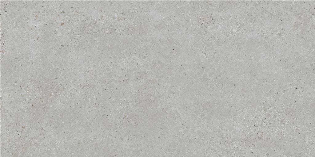 Ecoceramic Bogey Silver 60x120 (R)