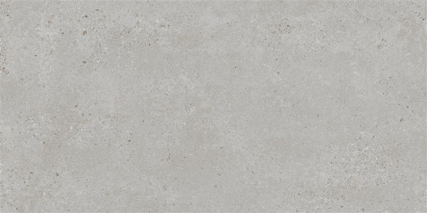 Ecoceramic Bogey Silver 60x120 (R)