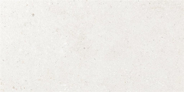 Ecoceramic Bogey White 60x120 (R)