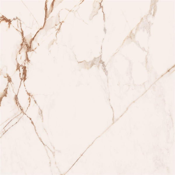 Cerdomus Omnia Machia Vecchia Mat 120x120