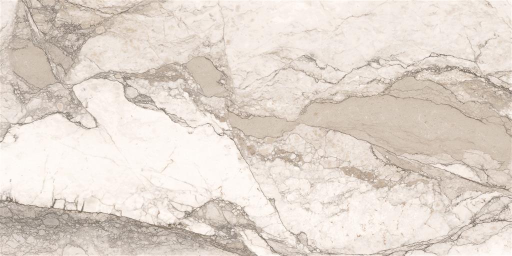 Cerdomus Omnia Camouflage Polished 30x60 (R)