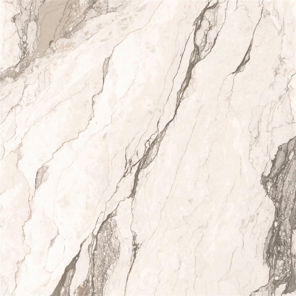 Cerdomus Omnia Camouflage Polished 60x60 (R)