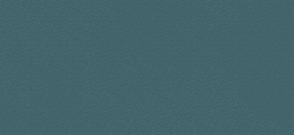 Atlas Concorde Boost Color Navy Frog