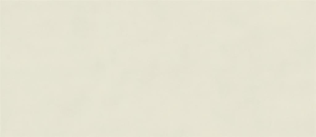 Atlas Concorde Boost Color Salix Matt 50x120 (R)