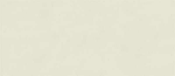 Atlas Concorde Boost Color Salix Matt 50x120 (R)