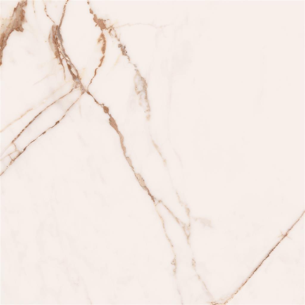 Cerdomus Omnia Machia Vecchia Matt 60x60 (R)