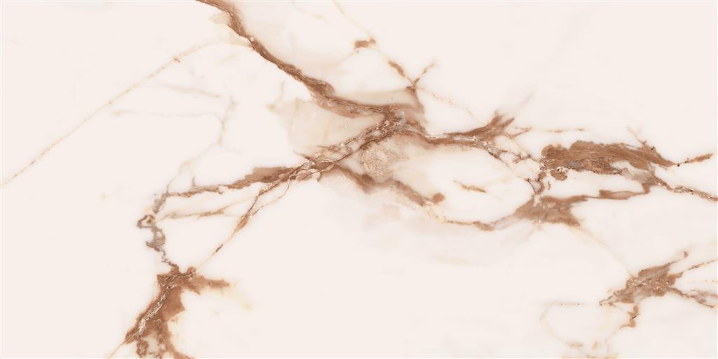 Cerdomus Omnia Machia Vecchia Matt 30x60 (R)
