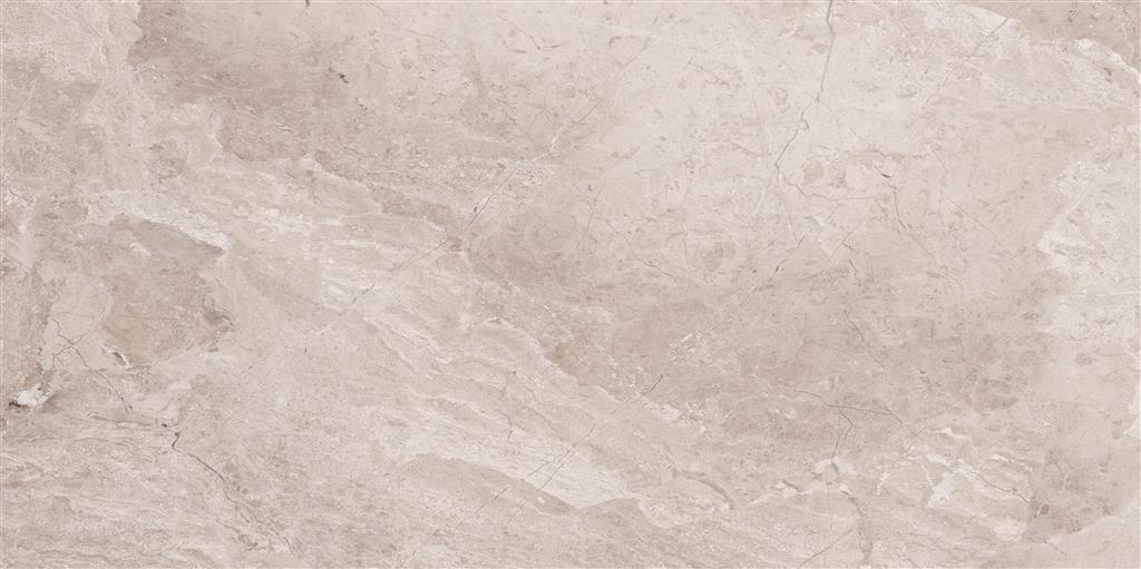 Cerdomus Omnia Hermitage Polished 60x120 (R)