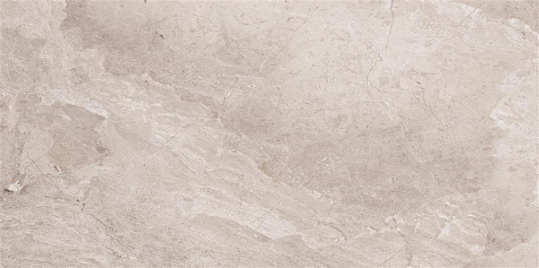 Cerdomus Omnia Hermitage Polished 60x120 (R)