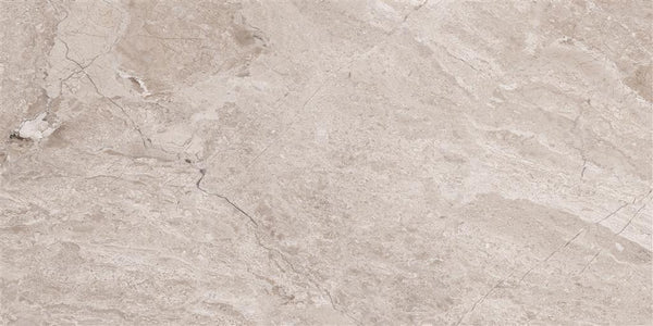 Cerdomus Omnia Hermitage Polished 30x60 (R)