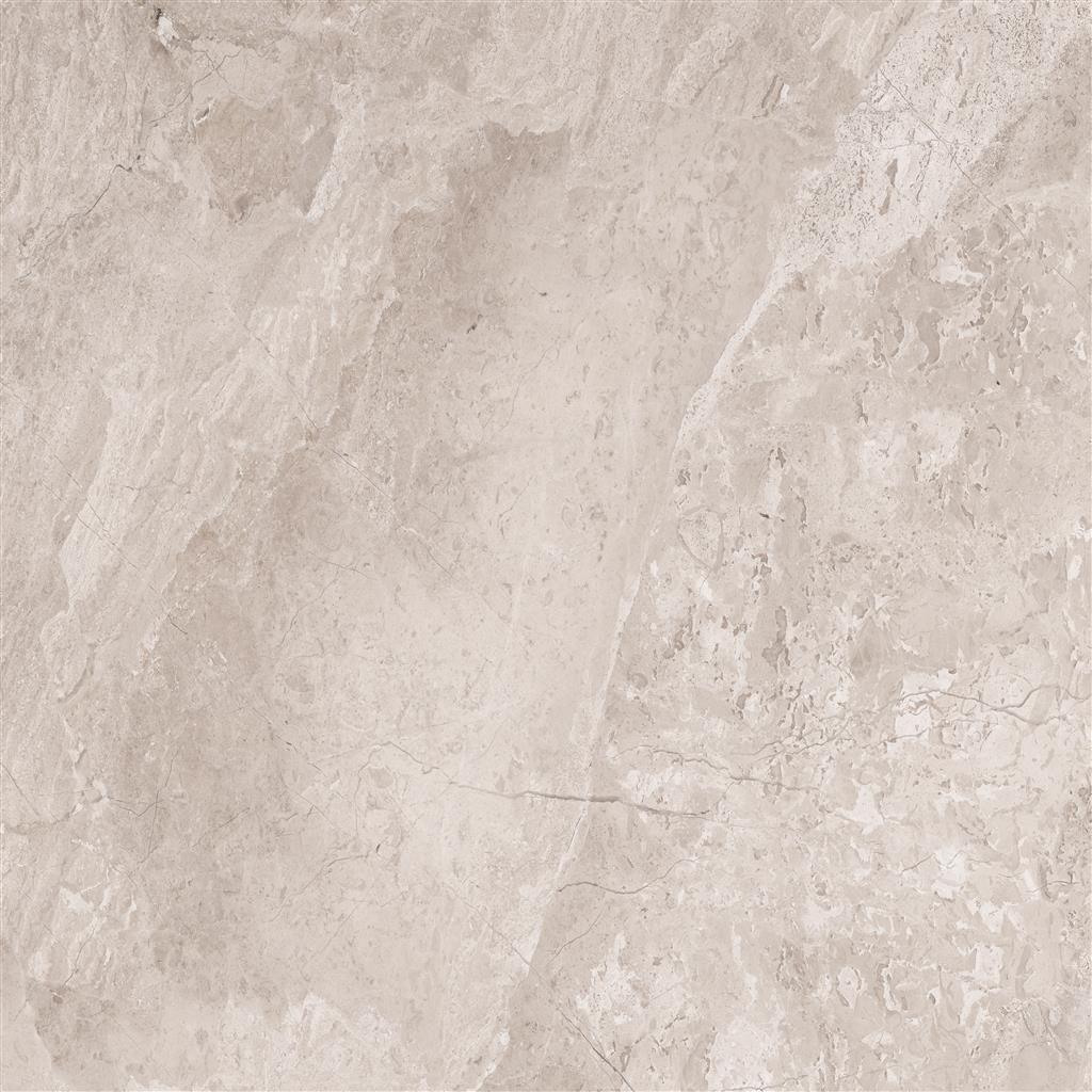 Cerdomus Omnia Hermitage Polished 120x120 (R)