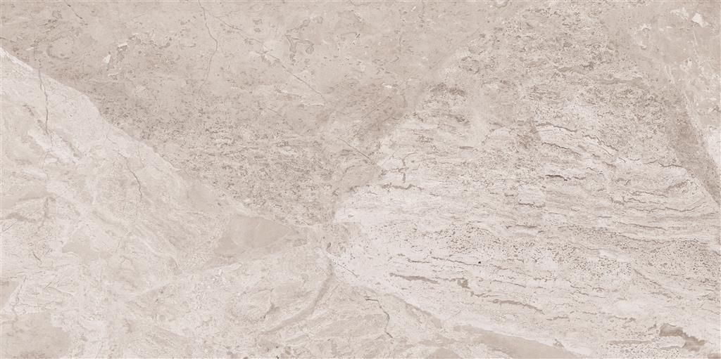 Cerdomus Omnia Hermitage Matt 60x120 (R)