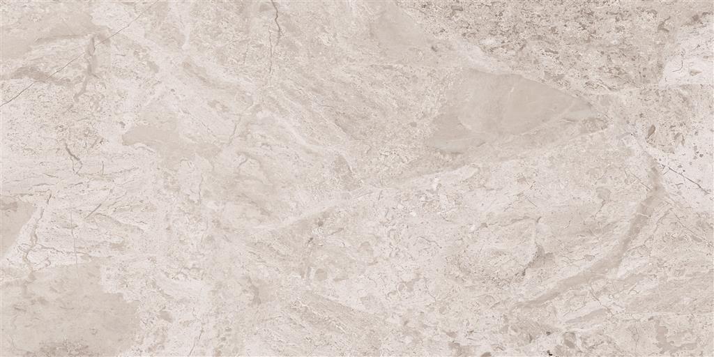Cerdomus Omnia Hermitage Matt 30x60 (R)