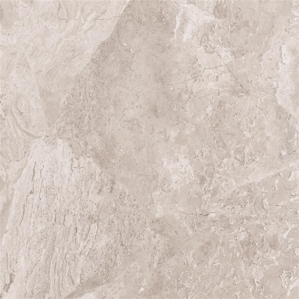 Cerdomus Omnia Hermitage Matt 120x120 (R)