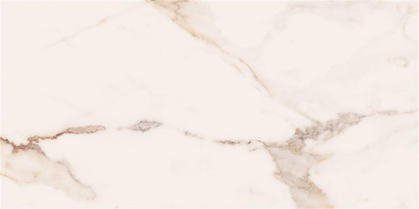 Cerdomus Omnia Machia Vecchia Polished 30x60 (R)