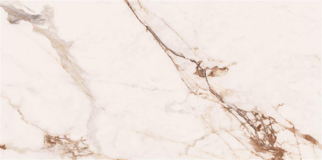 Cerdomus Omnia Machia Vecchia Polished 60x120 (R)