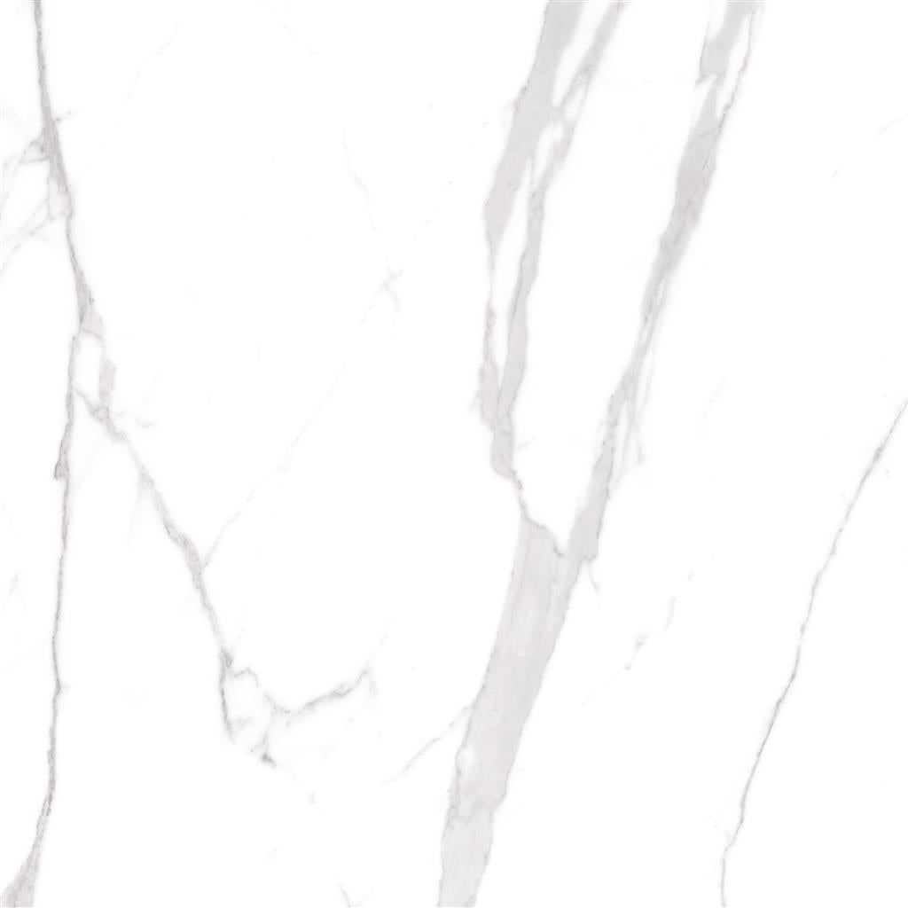 Cerdomus Omnia Statuario Matt 120x120 (R)