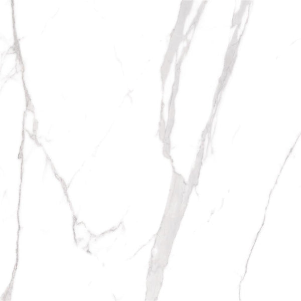 Cerdomus Omnia Statuario Matt 120x120 (R)