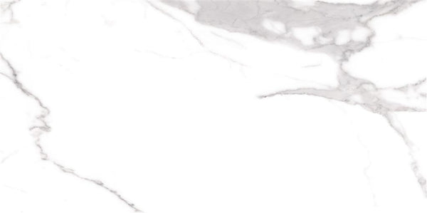 Cerdomus Omnia Statuario Polished 60x120 (R)