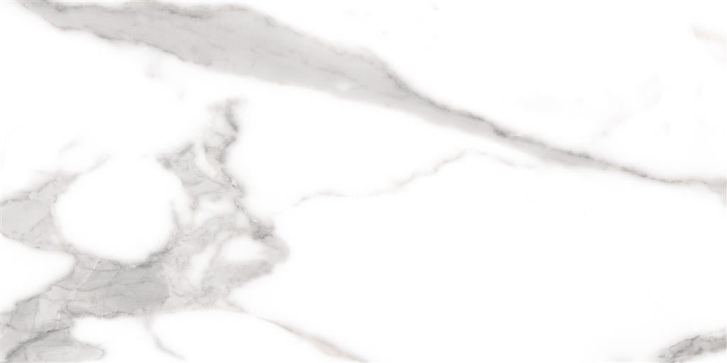 Cerdomus Omnia Statuario Polished 30x60 (R)