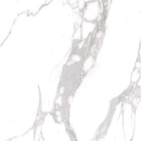 Cerdomus Omnia Statuario Gepolijst 120x120