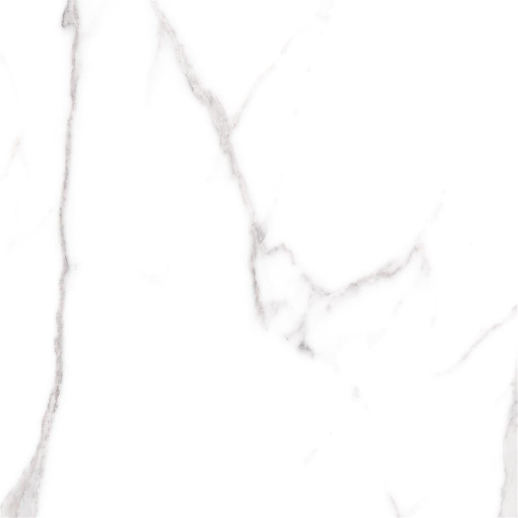 Cerdomus Omnia Statuario Matt 60x60 (R)