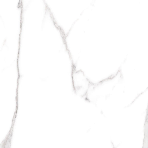 Cerdomus Omnia Statuario Matt 60x60 (R)