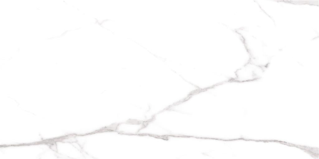 Cerdomus Omnia Statuario Matt 60x120 (R)