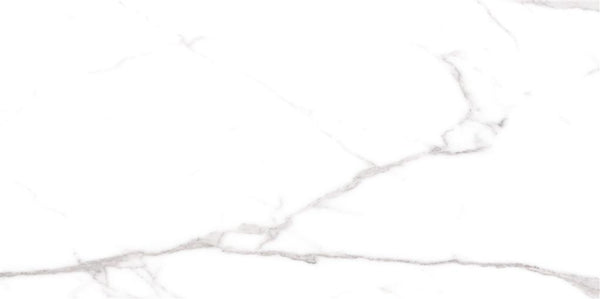 Cerdomus Omnia Statuario Matt 60x120 (R)